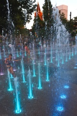 Playtime in the Washnigton Park fountain